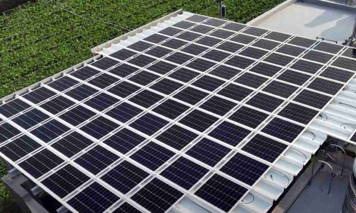 28国际SunSteel光电浪板升级双玻结构，，，，以提升机械负载强度及气候耐候度，，，可广泛运用于多元场域